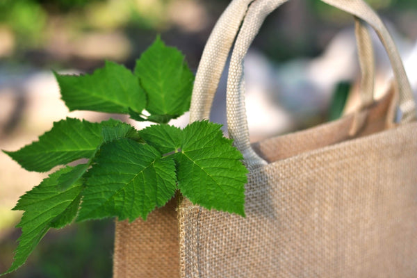 Reusable bag with plant coming out to promote reusable bags and sustainable options to make Black Friday more eco-friendly
