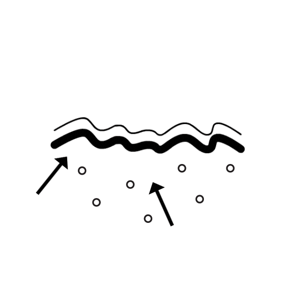 A GIF showing how wrinkles form on the skin as collagen levels deplete