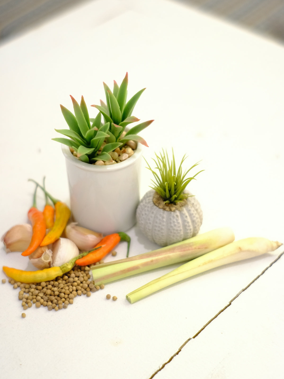 a white table topped with a potted plant and vegetables