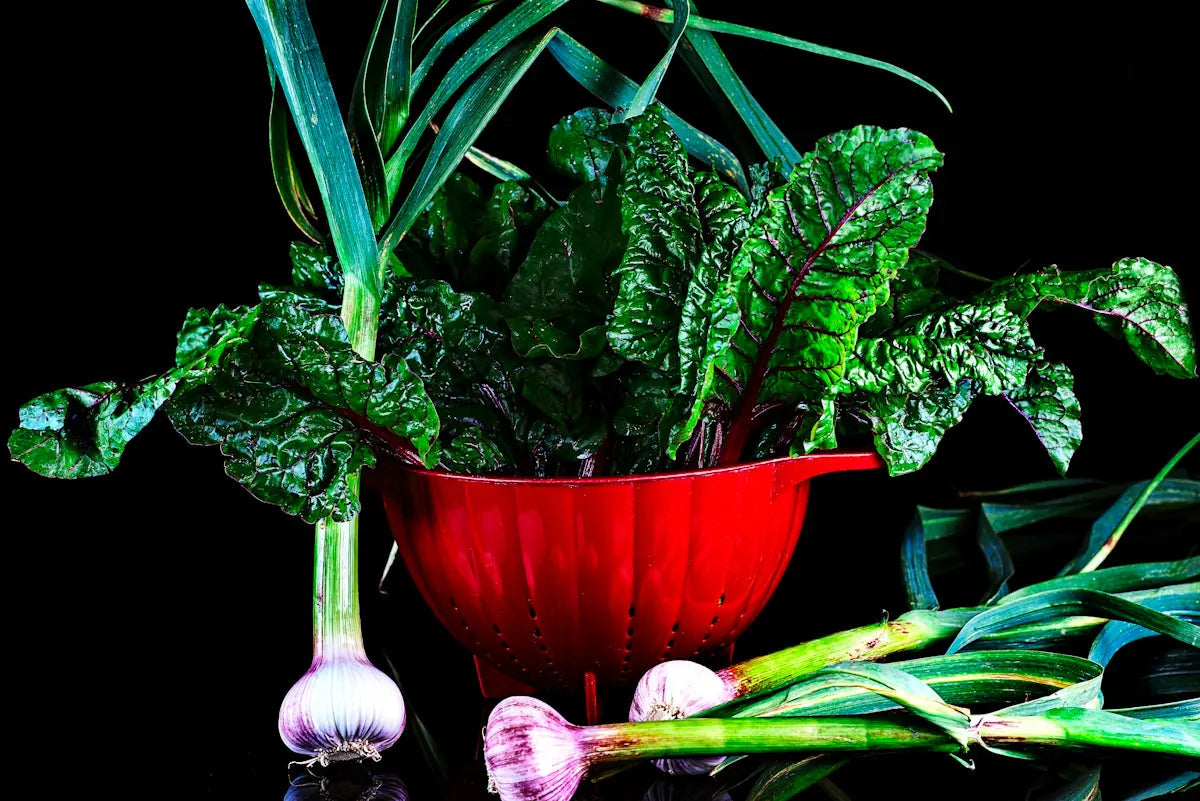 green leaves on red ceramic bowl