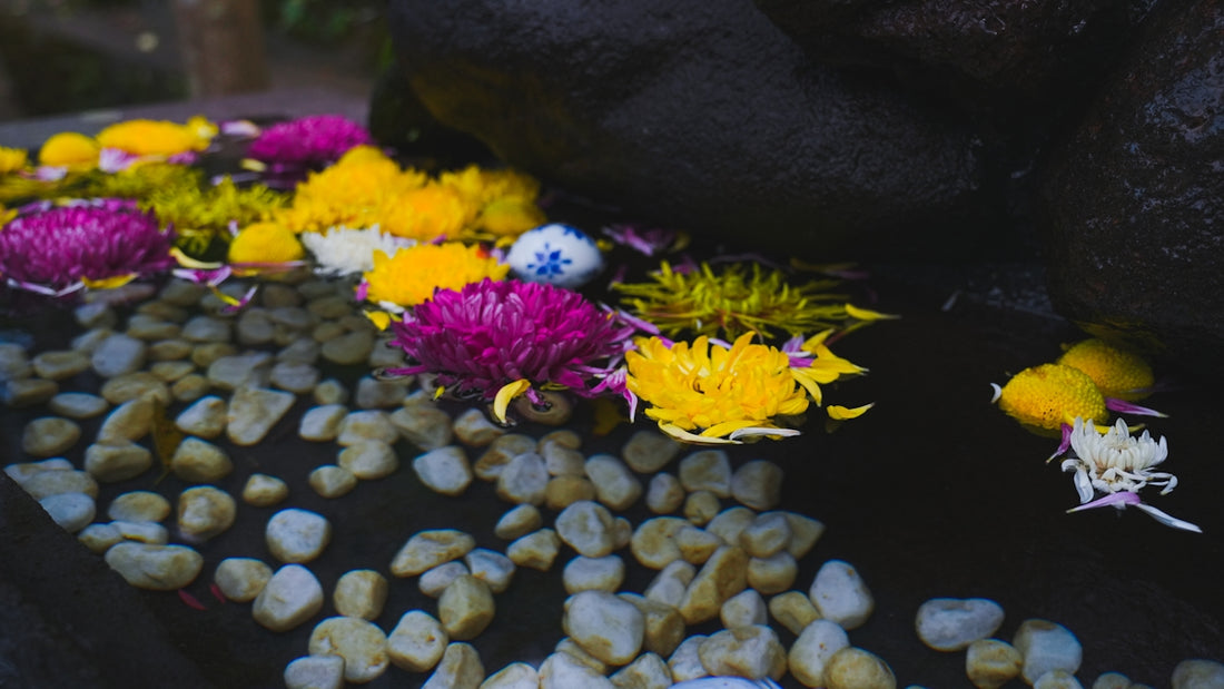 a bunch of flowers that are sitting on some rocks